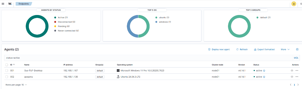 Wazuh security audit agents overview